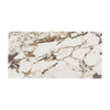 Daltile Panoramic Duet Rectangle 24x48 Polished Calacatta Aries Swatch