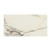 Daltile Panoramic Duet Rectangle 12x24 Polished Calacatta Topaz Swatch