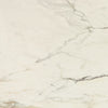 Daltile Panoramic Duet Square 24x24 Calacatta Topaz Swatch