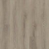 Shaw Paladin Plus Toasted Taupe Swatch