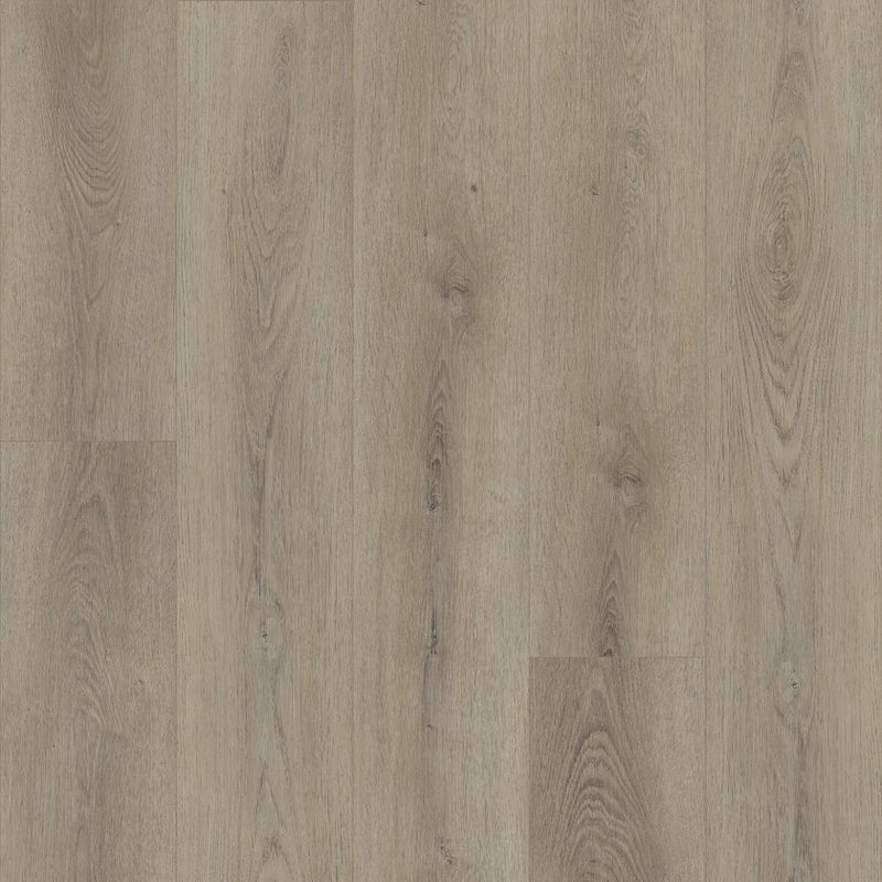 Shaw Paladin Plus Toasted Taupe