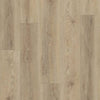 Shaw Pantheon HD Plus Tostata