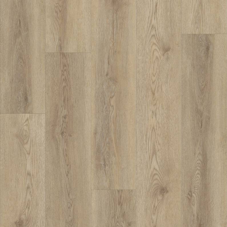 Shaw Pantheon HD Plus Tostata