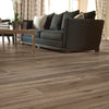 COREtec Plus Enhanced 7" Nares Oak Room Scene