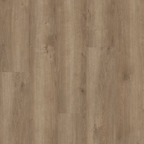 COREtec Pro Plus Copano Oak 7" Swatch