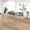COREtec Pro Plus Springfield Oak 7" Room Scene