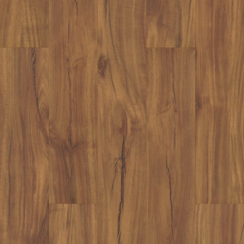 COREtec Originals VV023 Gold Coast Acacia 5