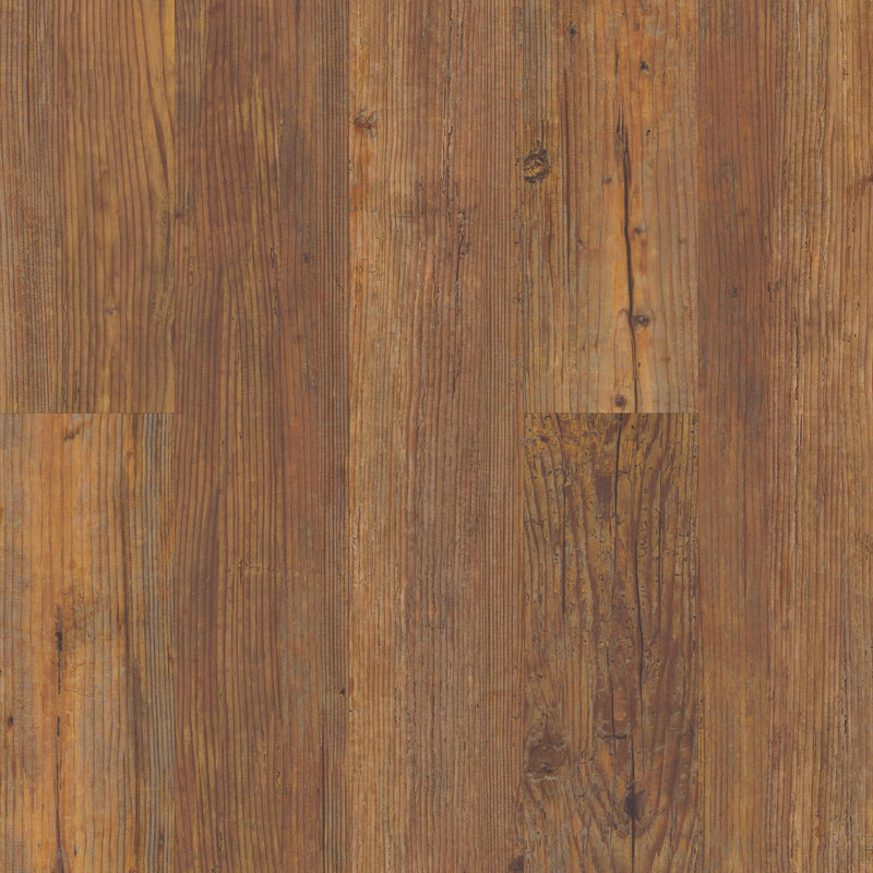 COREtec Originals VV023 Carolina Pine 5