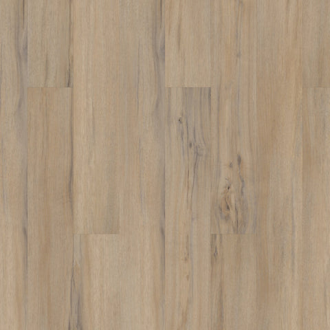 COREtec Originals VV023 Dodwell Oak 5" Swatch