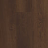 COREtec Plus XL Enhanced Williamson Oak Swatch