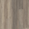 COREtec Plus Premium Planks 9" Leisure Oak Swatch