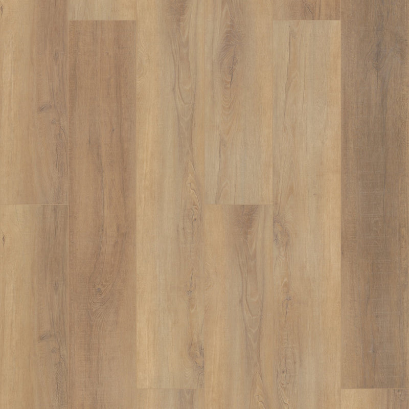 COREtec Pro Premium VV488 Canterbury Elm