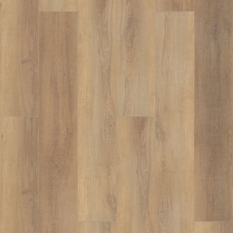 COREtec Pro Plus HD 9" Canterbury Elm Swatch