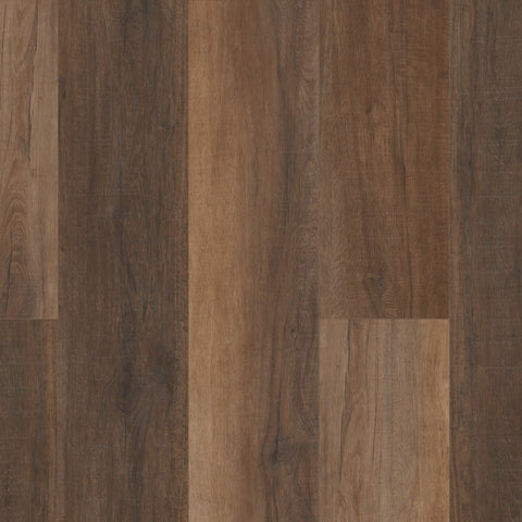 COREtec Pro Plus HD 9" Cheshire Elm Swatch