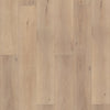 COREtec Pro Premium VV488 Ravenswood Oak Swatch