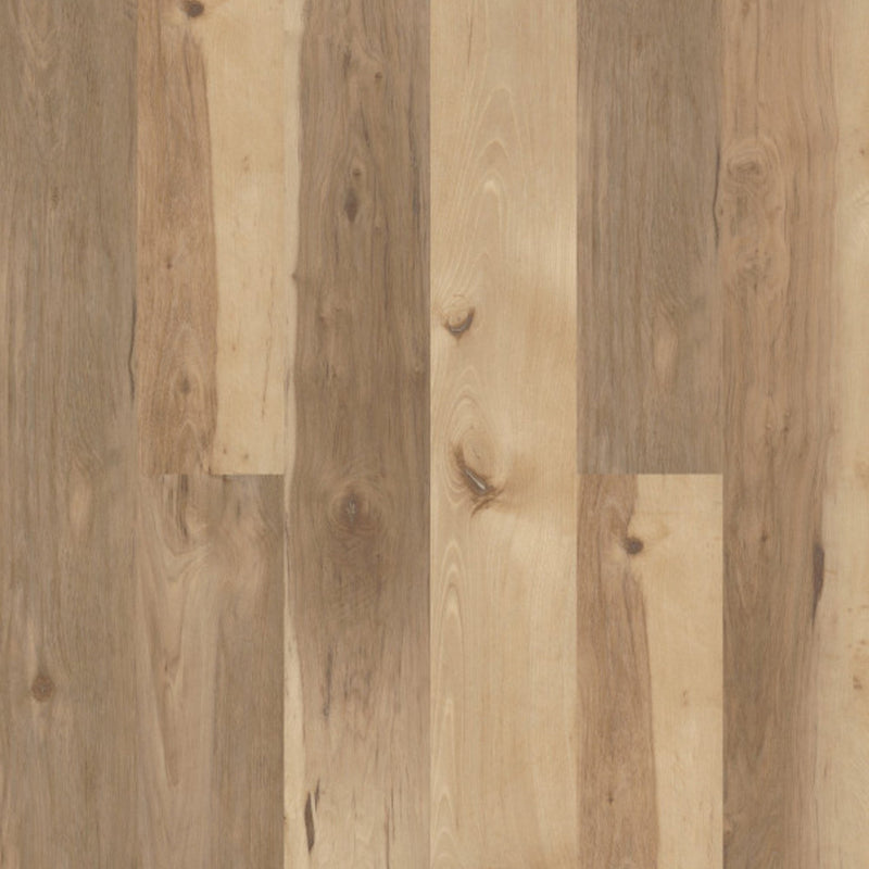 COREtec Pro Plus XL Havanna Hickory