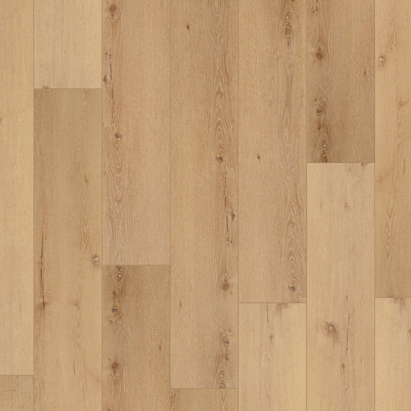 COREtec Pro Plus XL Enhanced Cairo Oak