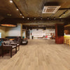 COREtec Pro Plus XL Enhanced Cairo Oak Room Scene
