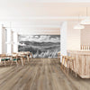 COREtec Pro Plus XL Enhanced Suva Oak Room Scene