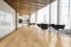 COREtec Pro Enhanced VV491 Berlin Pine Room Scene