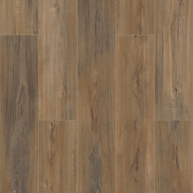 COREtec Pro Plus Enhanced Edinburgh Oak