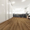 COREtec Pro Plus Enhanced Rocca Oak Room Scene