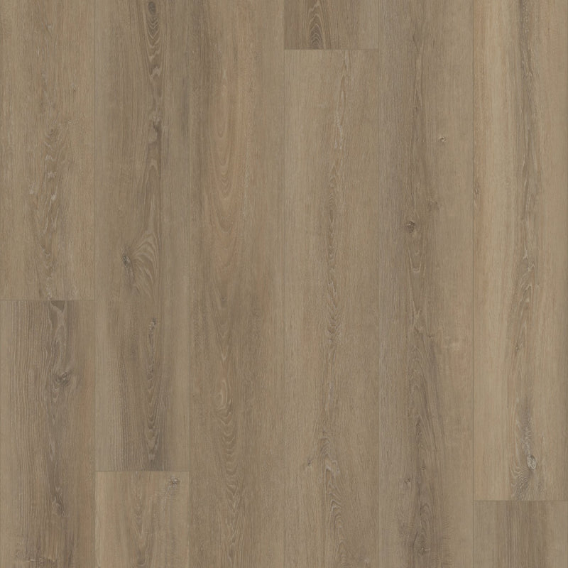 COREtec Plus Grande Ellidy Oak