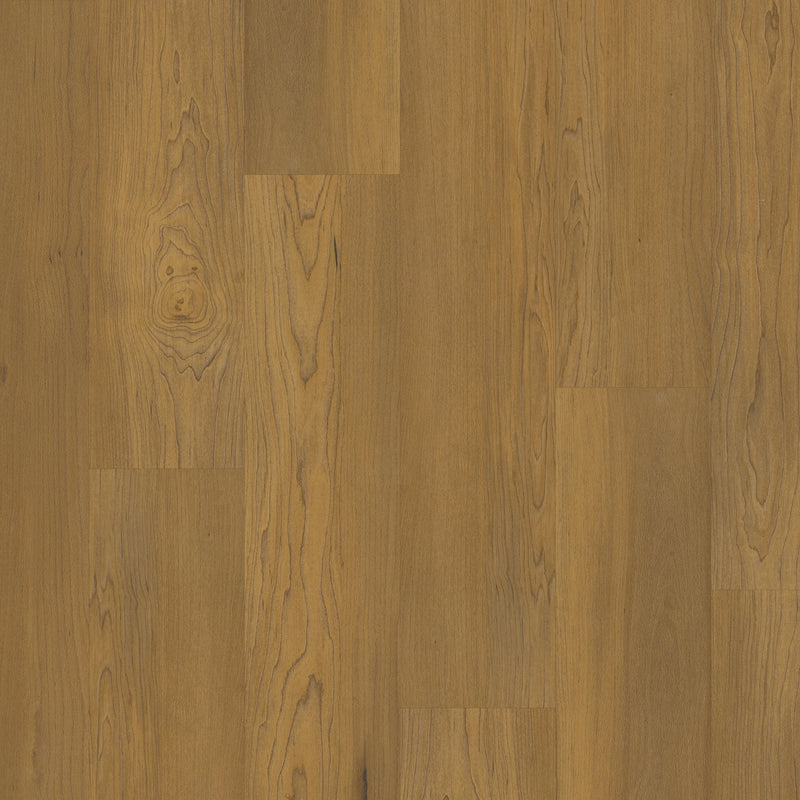 COREtec Pro Premium VV800 Essex Maple
