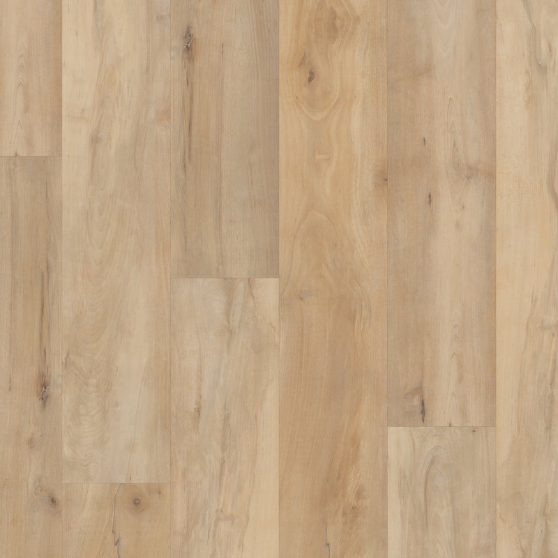 COREtec Pro Premium VV800 Brookfield Maple