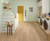 COREtec Pro Premium VV800 Brookfield Maple Room Scene