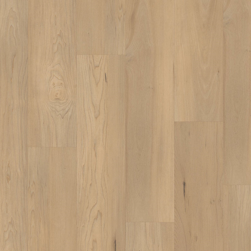 COREtec Pro Premium VV800 Douglas Maple