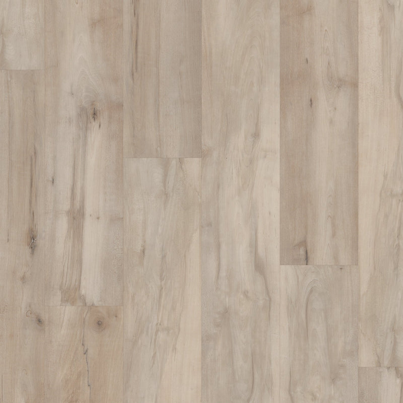 COREtec Pro Premium VV800 Lawrence Maple