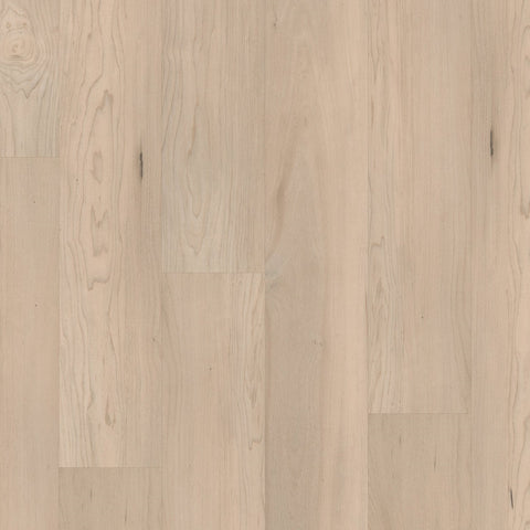 COREtec Pro Premium VV800 Norfolk Maple Swatch