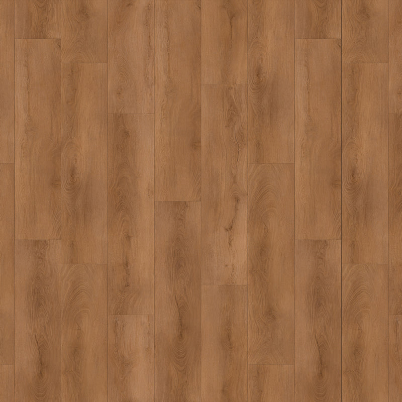 Casabella Versacore Grande 10 Van Cortland