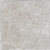 Virginia Pietra Di Ostuni 24x24 Field Matte Tile Grigio Swatch