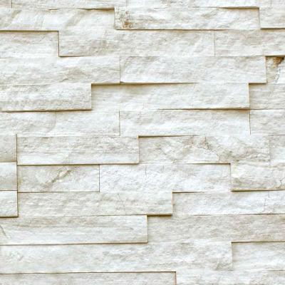 Realstone Systems Collection White Birch Ledgestone Splitface Panel 6"x24"