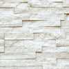 Realstone Systems Collection White Birch Ledgestone Splitface Panel 6"x24"