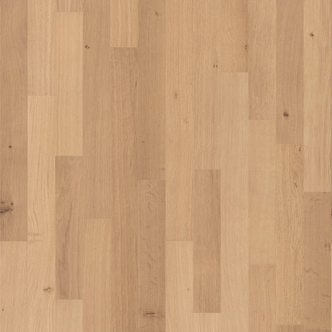Shaw Natural Classics White Oak 3" Swatch