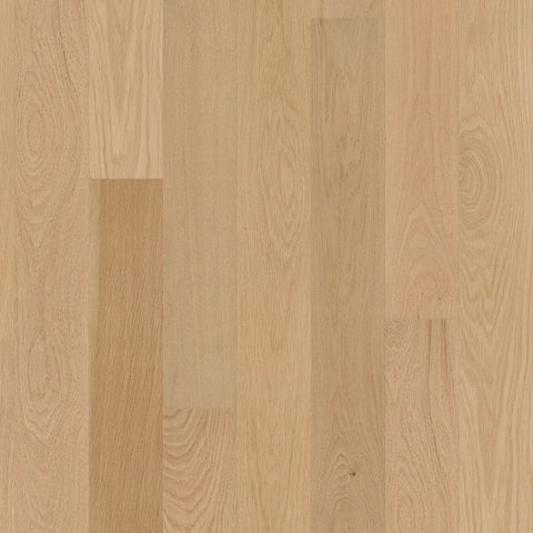 Shaw Natural Classics Red Oak 5" Swatch
