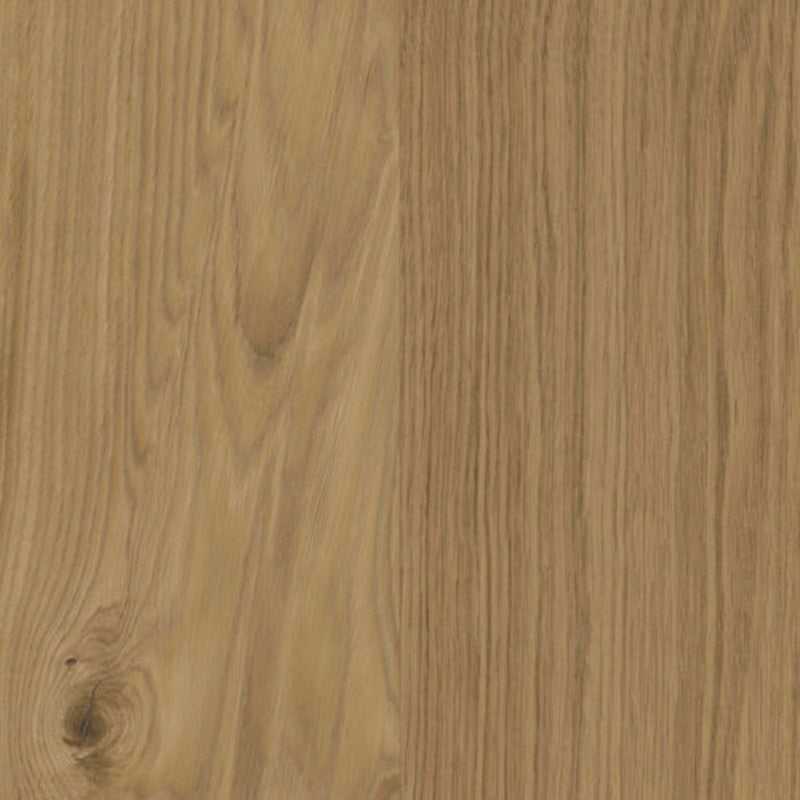 Bjelin Hardened Wood XL Nature Natural Oak (New Wire Brushed)