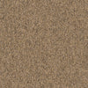 Shaw Carpet Tile Multiplicity Abundance Swatch
