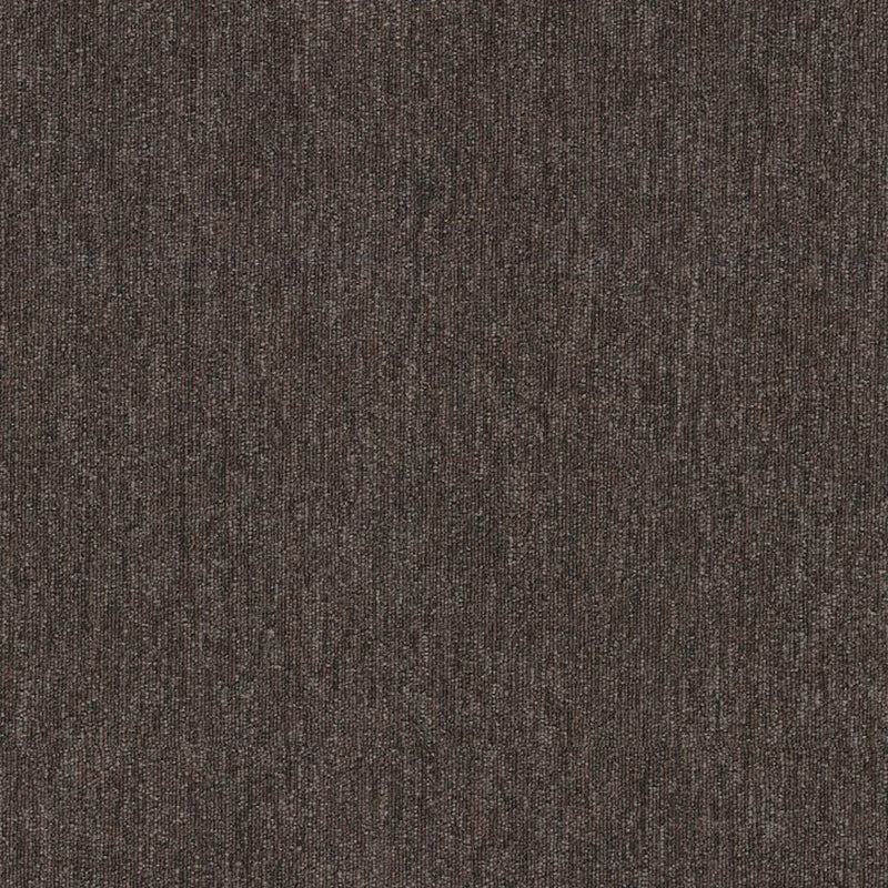Shaw Carpet Tile Profusion Tile Abundance