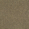 Shaw Carpet Tile Multiplicity Abundance 24” Swatch