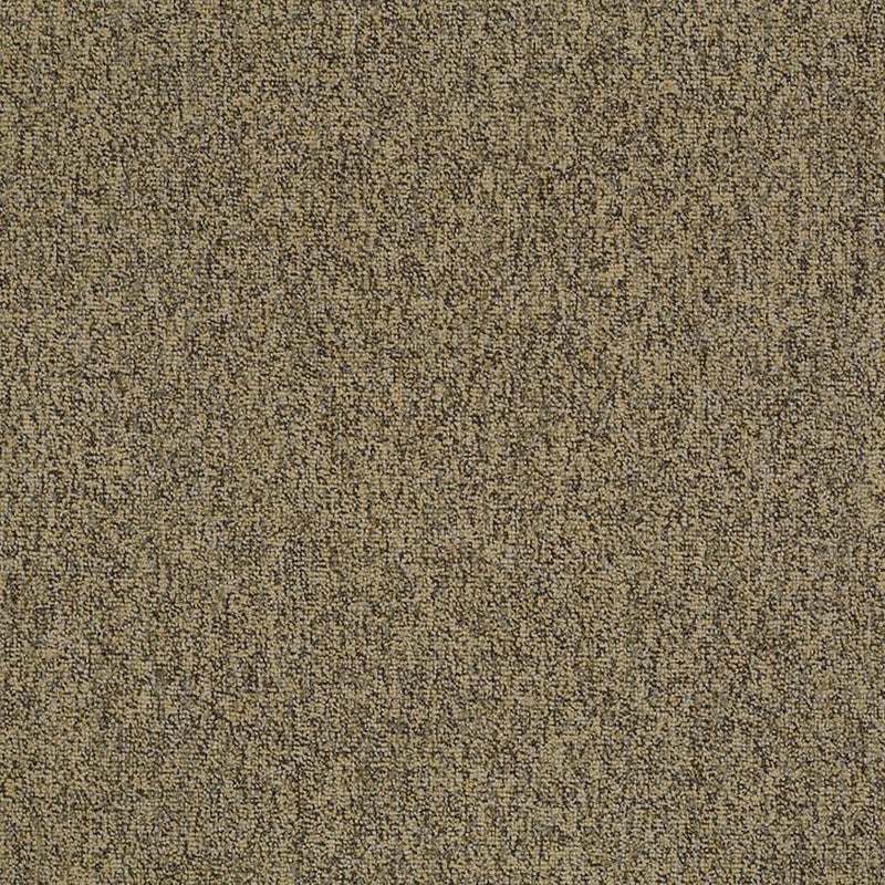 Shaw Carpet Tile Multiplicity Abundance 24”