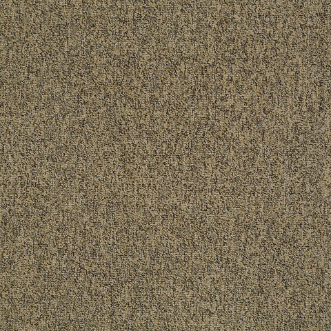 Shaw Carpet Tile Multiplicity Abundance 24” Swatch