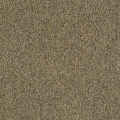 Shaw Carpet Tile Multiplicity Abundance 24” Swatch