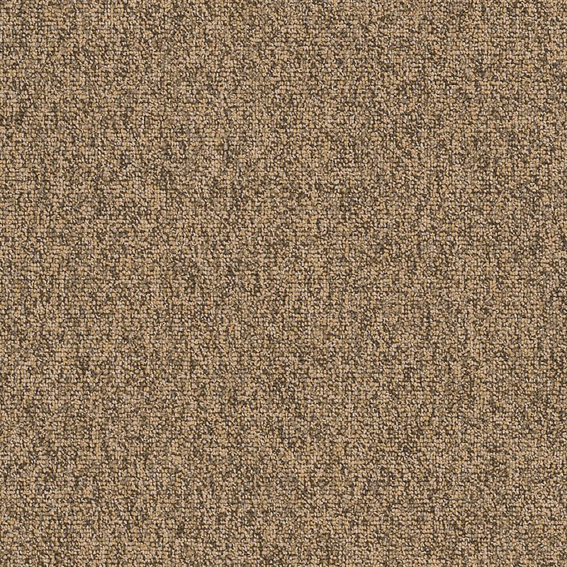 Shaw Carpet Tile Multiplicity Abundance