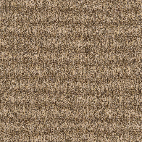 Shaw Carpet Tile Multiplicity Abundance Swatch