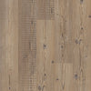 Shaw Anvil Plus 20 Accent Pine Swatch