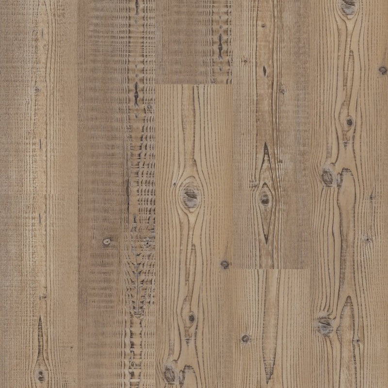 Shaw Anvil Plus 20 Accent Pine